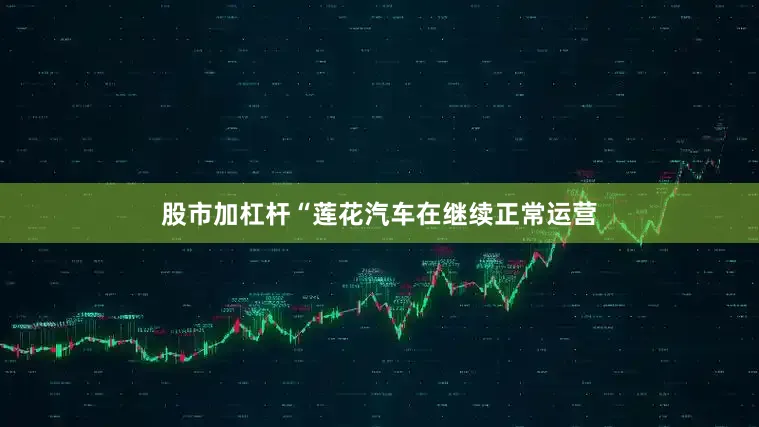 股市加杠杆“莲花汽车在继续正常运营