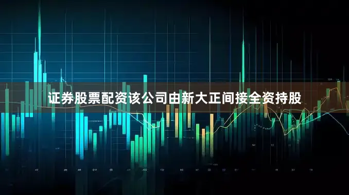 证券股票配资该公司由新大正间接全资持股