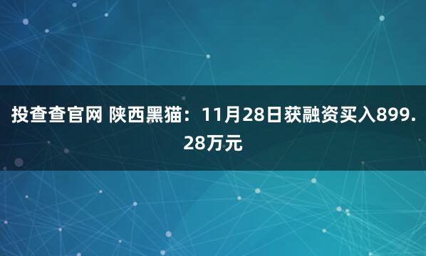 投查查官网 陕西黑猫：11月28日获融资买入899.28万元