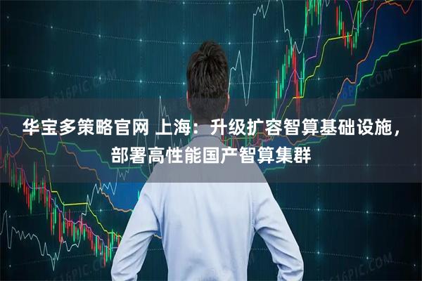华宝多策略官网 上海：升级扩容智算基础设施，部署高性能国产智算集群